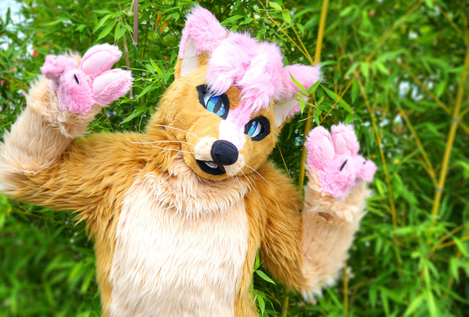 Keenaï's Fursuit